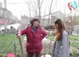 农村中年妇女图片,农村中年妇女的辛勤与美丽