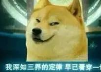 傲视天际表情包
