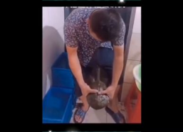 搞笑脱裤子视频大全,笑料横生！搞笑脱裤子视频大盘点