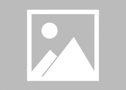 家庭军人背景的特点,传承家国情怀的血脉传奇