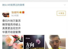 背景图热搜,揭秘背景图背后的故事与现象