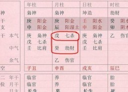 明星的八字分析,明星命运轨迹，命运与性格的完美融合